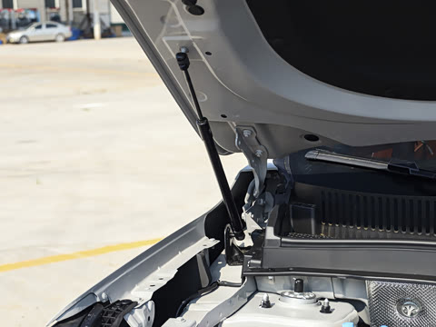 2026�� 290TGDI DCT������ 5��