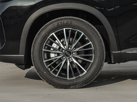 2026�� 290TGDI DCT������ 5��