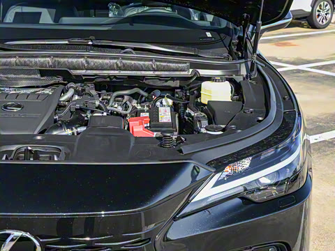 2026�� 300 ����������