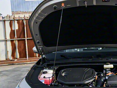 2026�� 125km���ڰ�