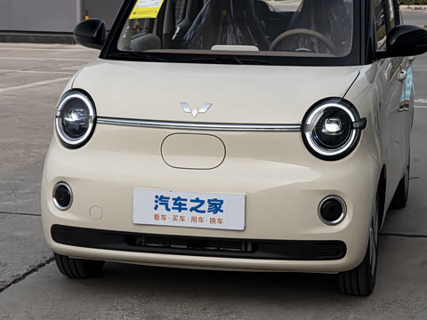 2026�� ����� 301km ���׿�