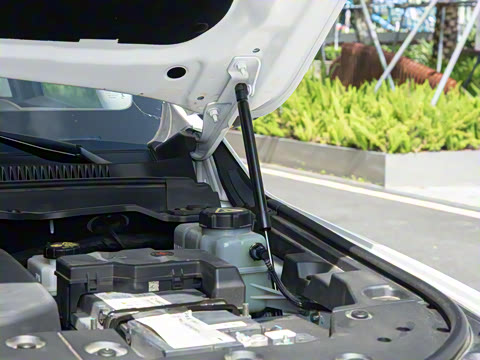 2026�� 3.0T �쾳�� 5��