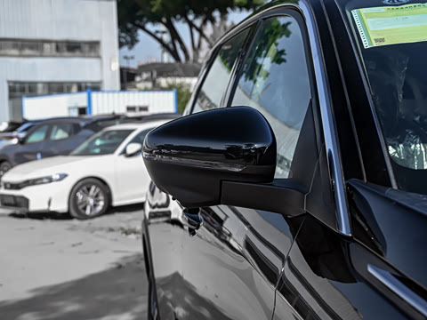 2025�� ������