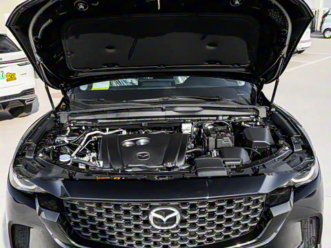 2026�� 2.0L ���а�