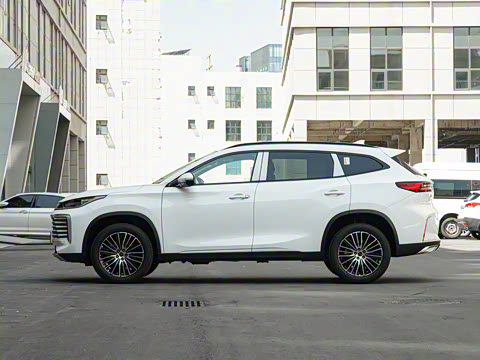 2025�� 300T ������ҹ��