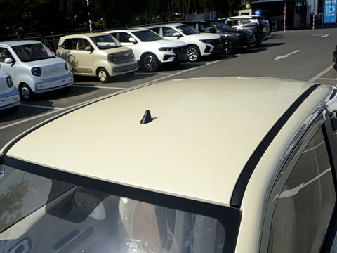 2026�� 222km �Ų���