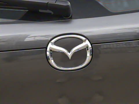 2025�� 2.0L �Զ�������