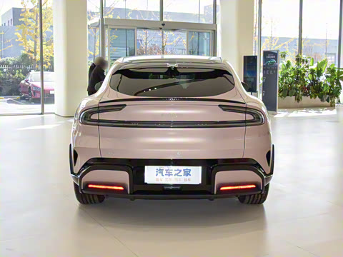 2025�� ������������Pro��