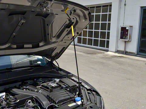 2025�� �Ŀ� 300TSI DSG���а�