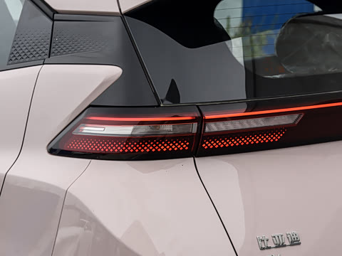 2026�� 305km ������