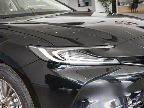 2026�� 2.0GVP ������