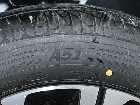 2026�� 260km ����������