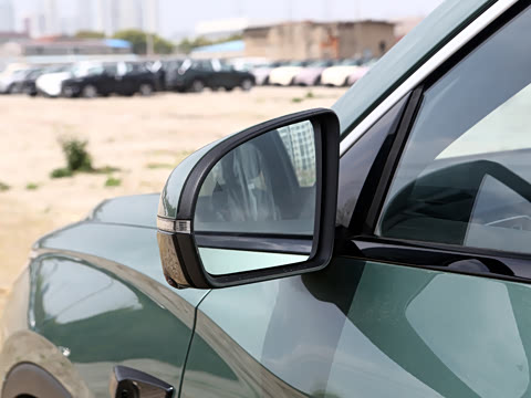 2026�� DM-i 220KM��Խ��