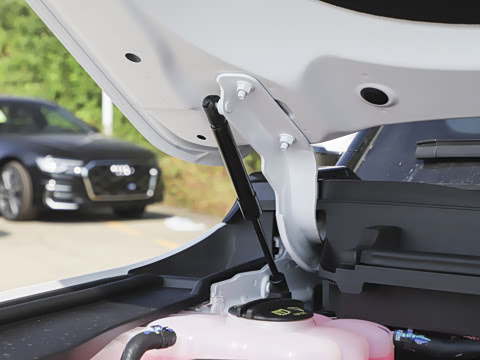 2025�� ��Ұ�� 5��