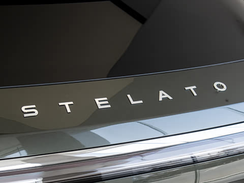 2025�� ���� Max��������