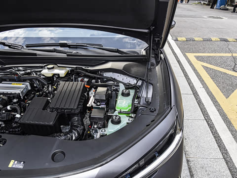 2025�� ������