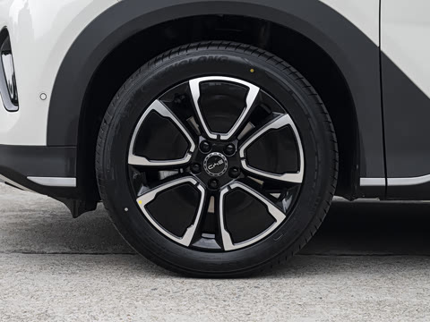 2026�� DM-i �Ǻ���