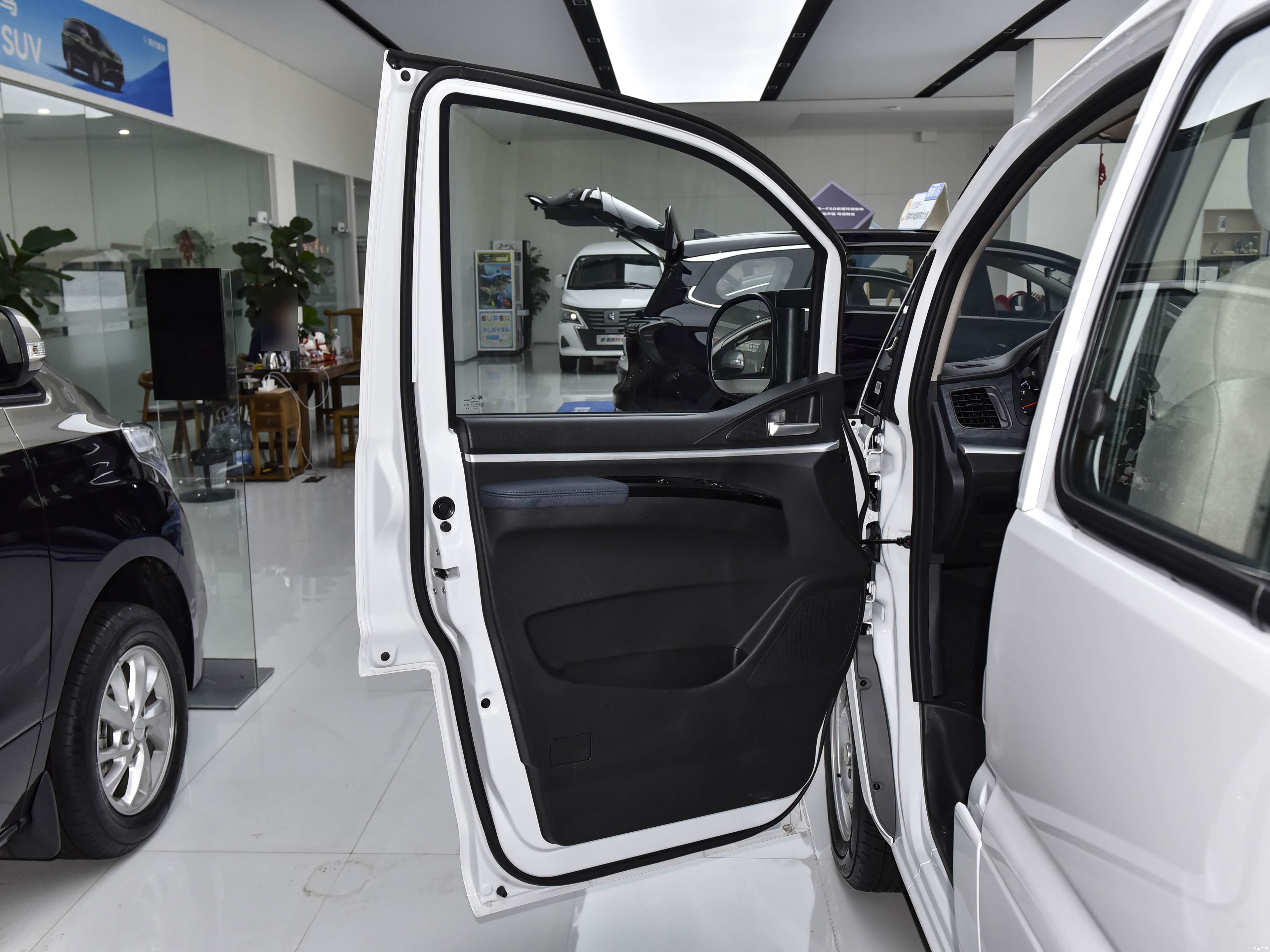 Forthing Lingzhi, миниатюра 21