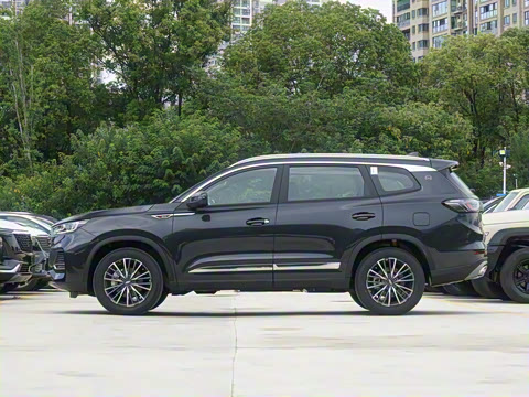 2025�� 290TGDI DCT����� 7��