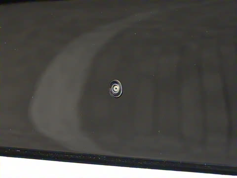 2026�� ���� Max������ 5��