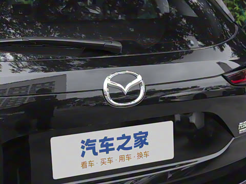 2025�� 2.0L �Զ���������Pro