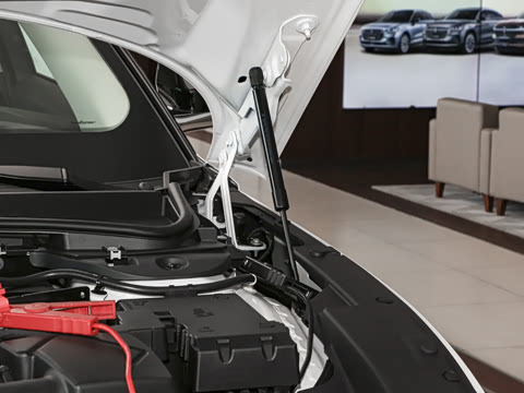 2025�� 2.0T ���ð�