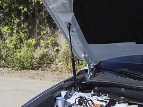 2026�� ȫ��30����ҫ�� 2.0L e:HEV �������а�