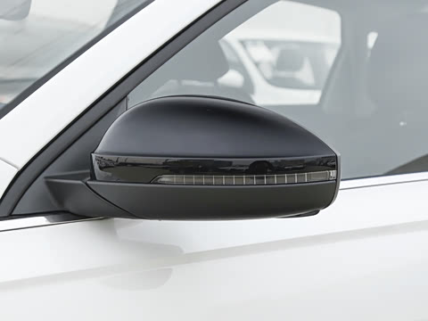 2026�� 300TSI DSG�ǿ����Ȱ�