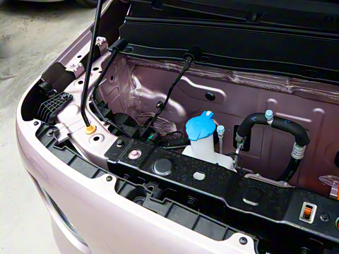 2025�� ������