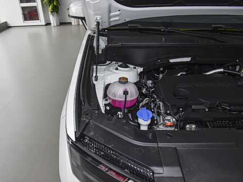 2026�� 2.0T ���ͼ�Pro Max