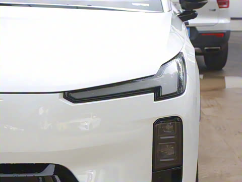 2026�� ������������Plus