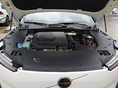 2026�� ������������Plus