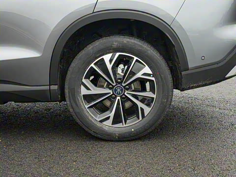 2026�� DM-i 133KM��Խ��