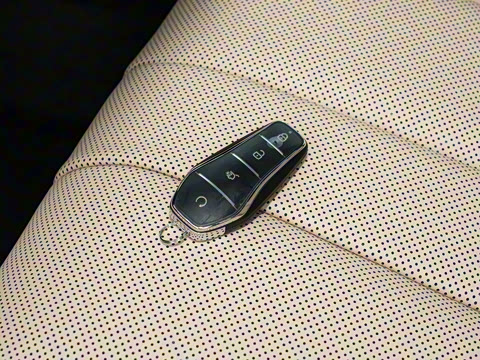 2026�� DM-i 133KM��Խ��