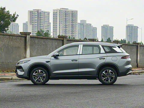 2026�� DM-i 133KM��Խ��