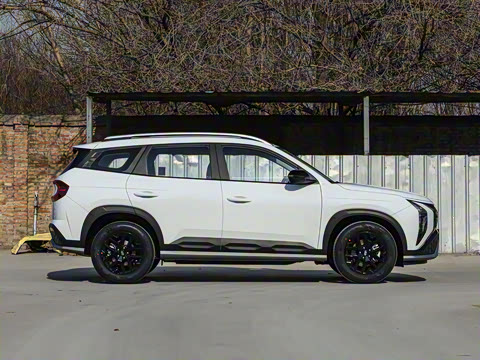 2026�� ��� 2.0L ������DLX