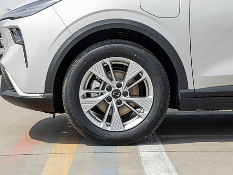 2026�� 565km ������