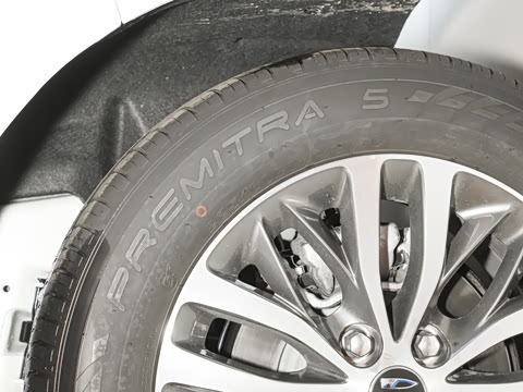 2025�� ½�Ϲ���� ����DG��