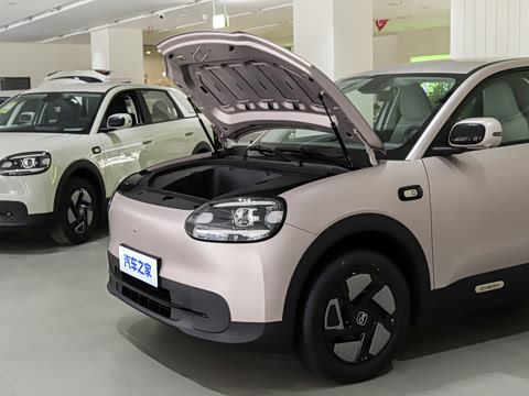 2026�� 310�Ȱ���