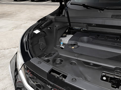 2026�� 300T ������Խ��