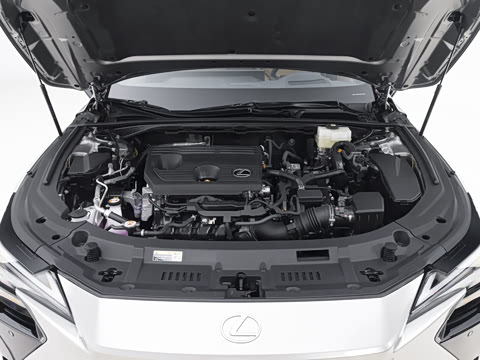 2026�� 300h ������