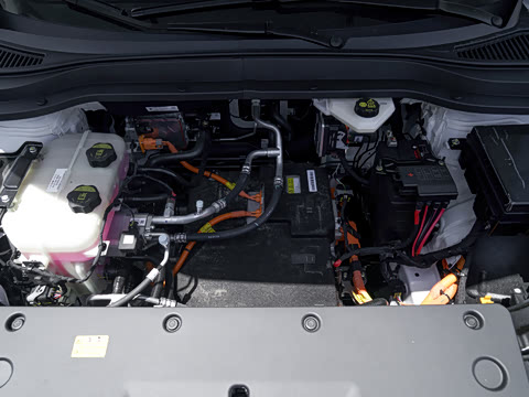 2026�� 565km ��ϲ��