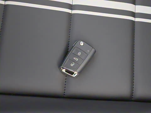 2026�� 300TSI DSG���������