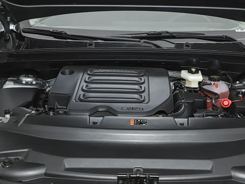 2025�� 25T �׽��