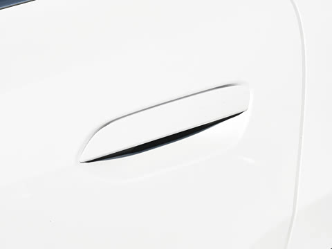 2026�� EV 530KM��Խ��