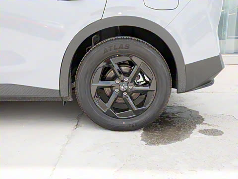 2026�� ��ƽ�� ������������