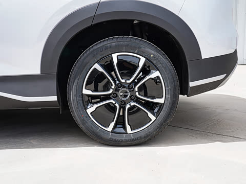 2026�� DM-i 220�캽��