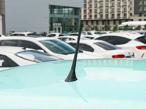 2026�� 222km �Ų���