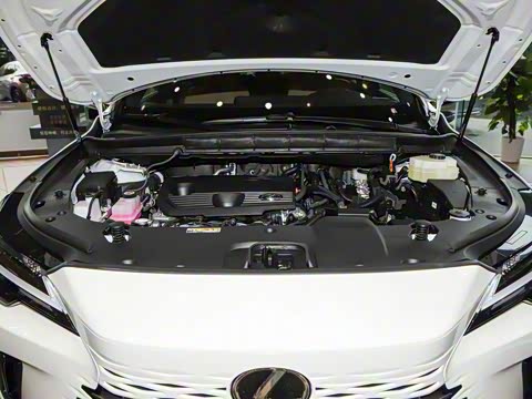 2026�� 350h ����������