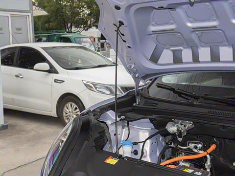 2025�� 325km ������